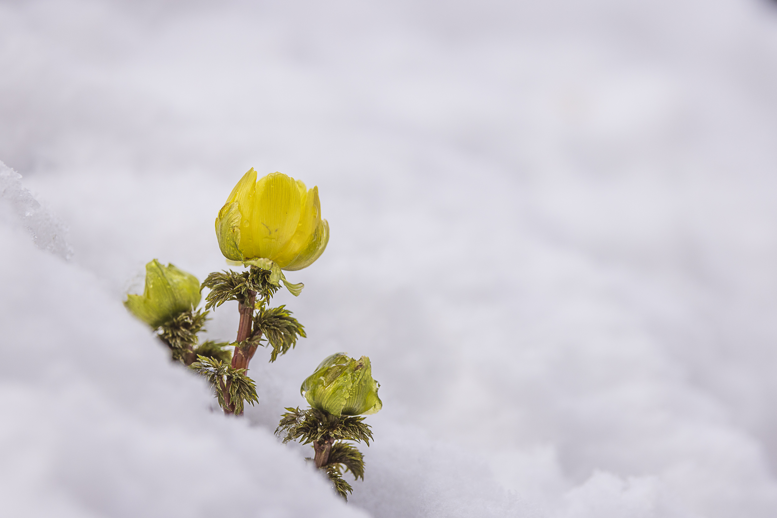 제목 없음-5159.jpg