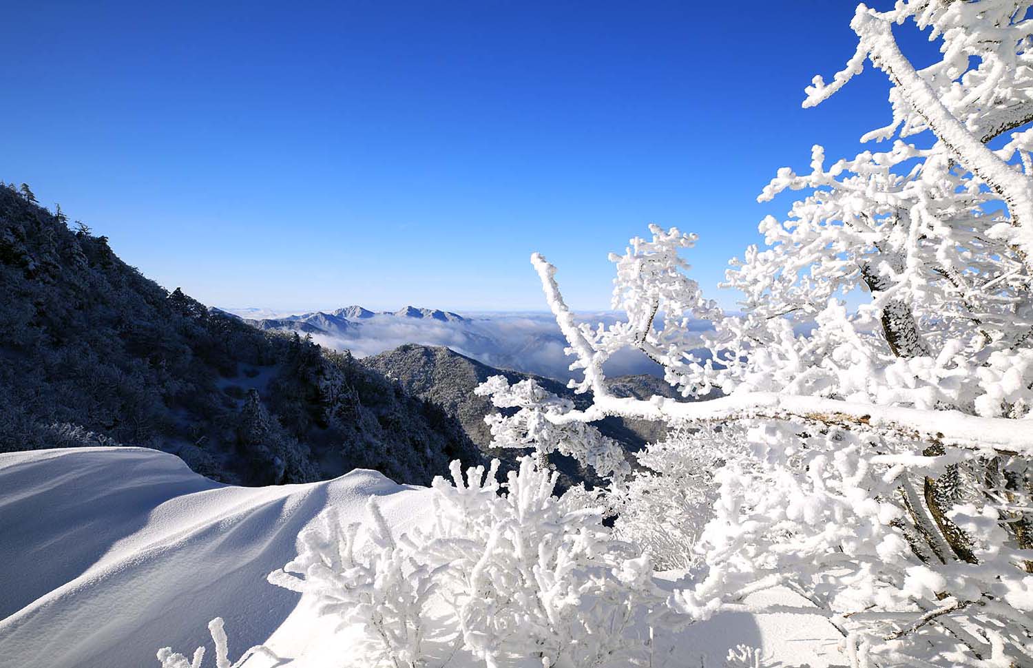 덕유산 설경38.JPG