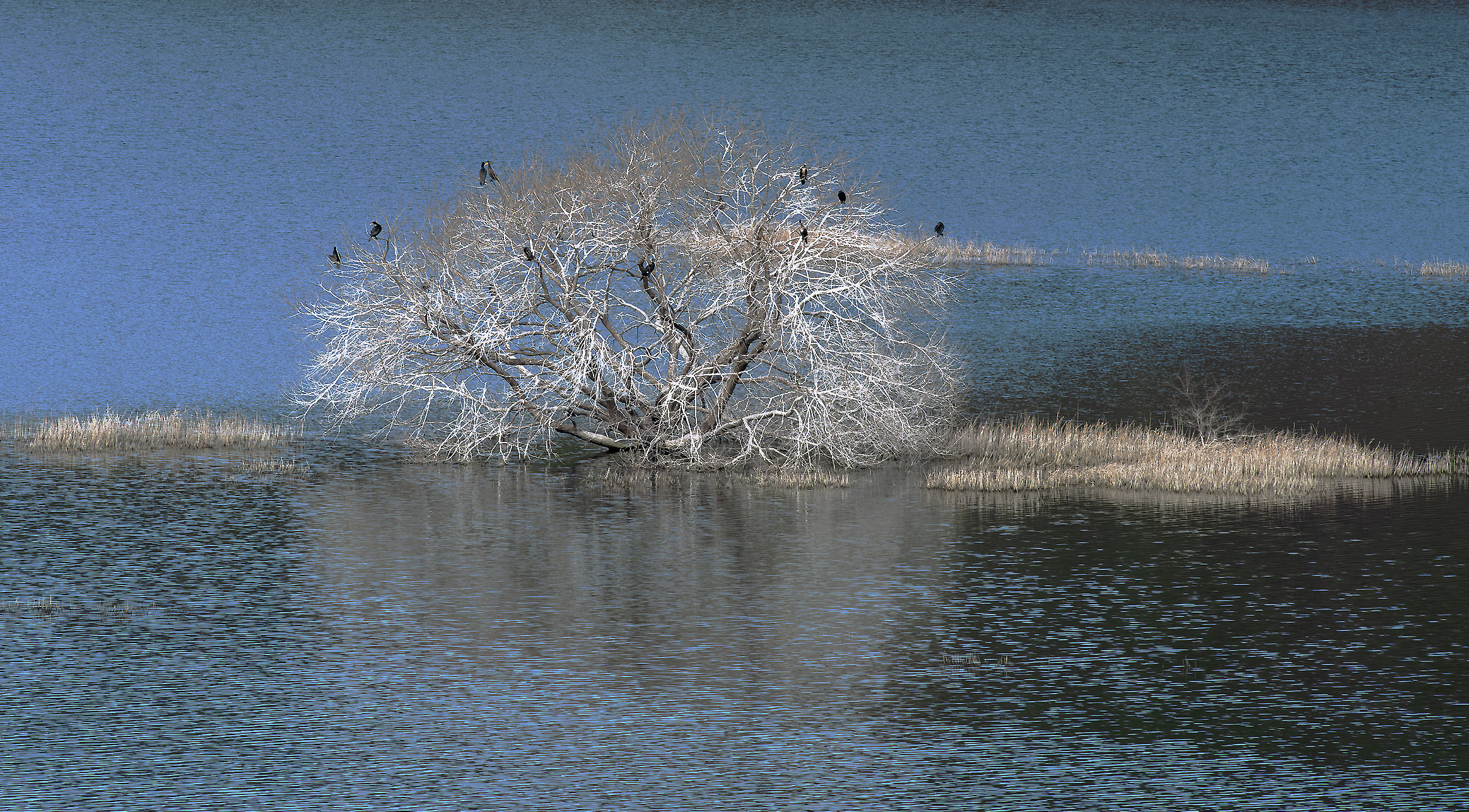 DSC_3808-향상됨-NR 복사.jpg