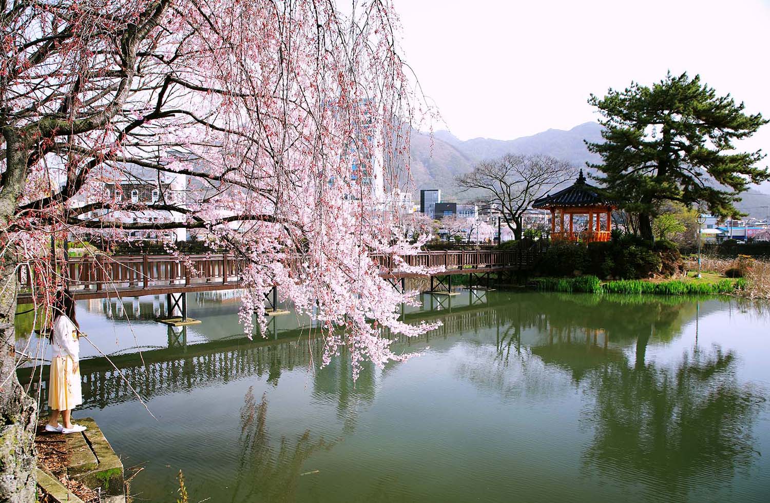 영산 만년교294.JPG