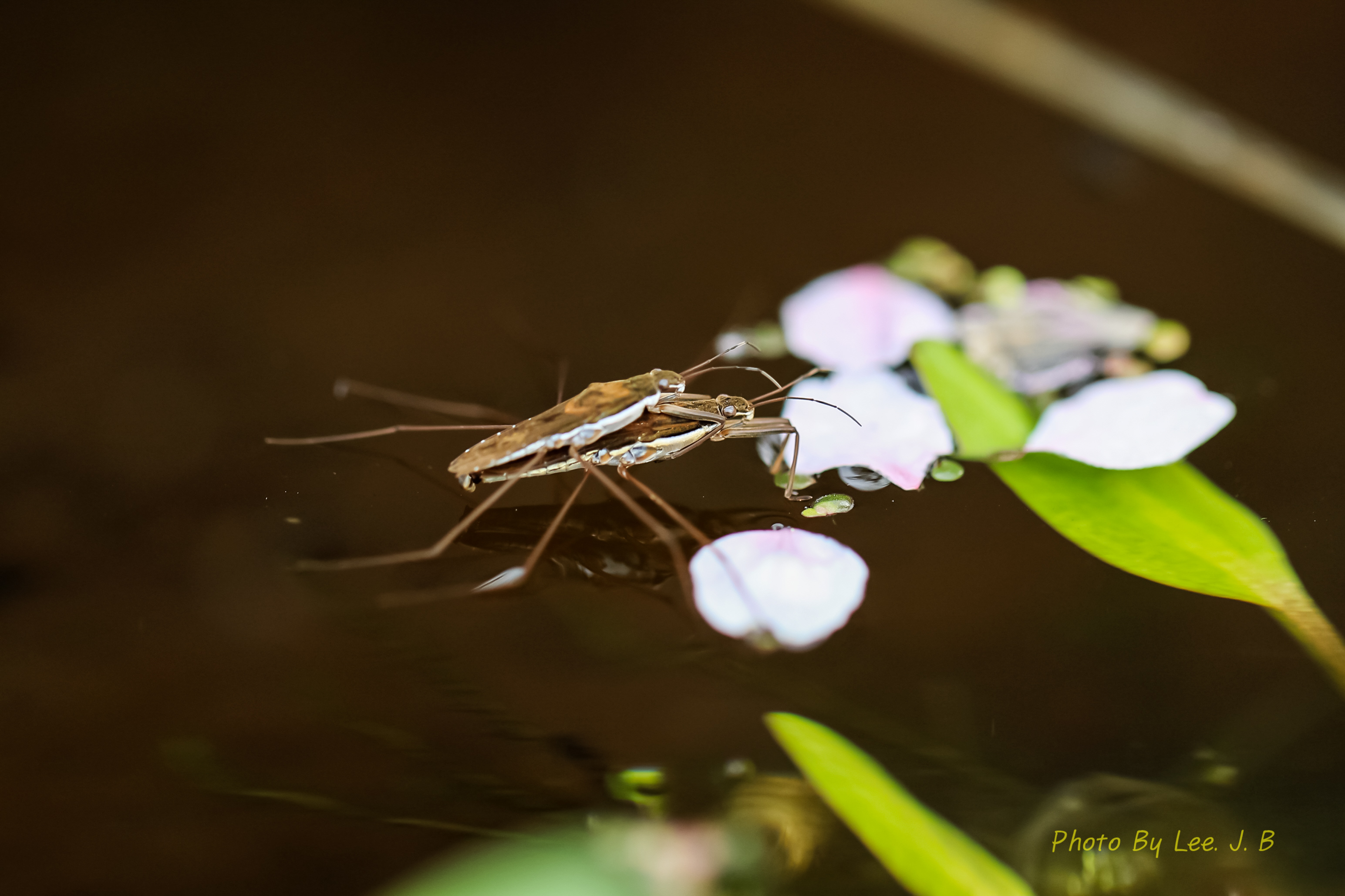 20240407-들꽃학습원 (4).JPG