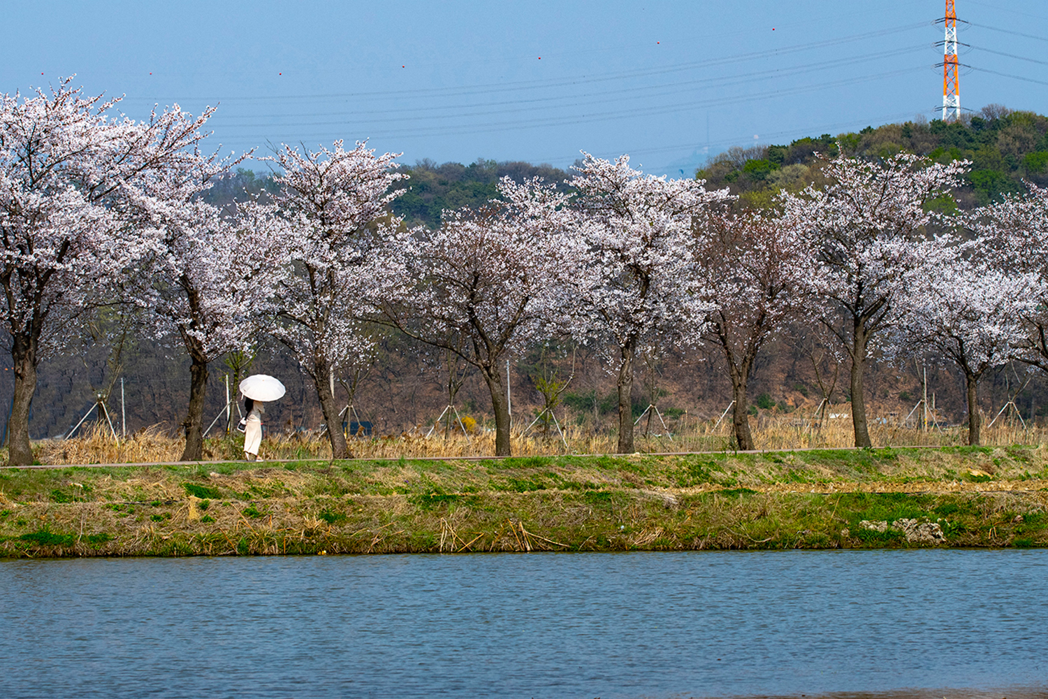호숫가의 어는 봄날.jpg
