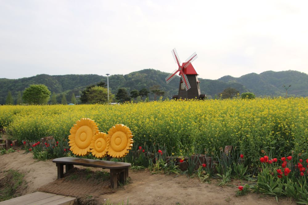 꽃속의 기다림1...jpg