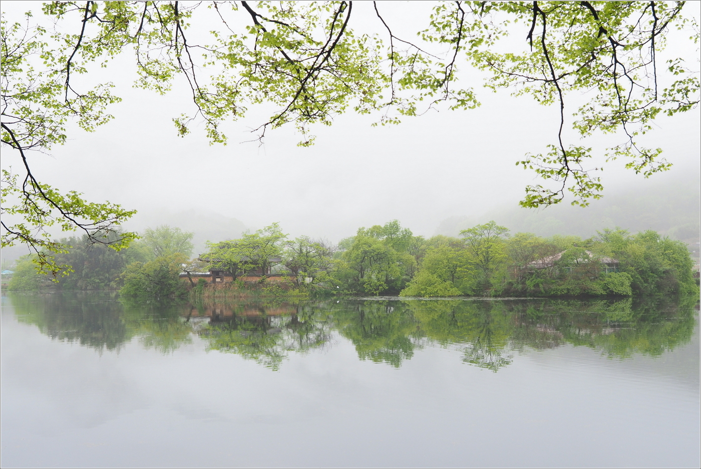 P4160023 (2)-001.JPG