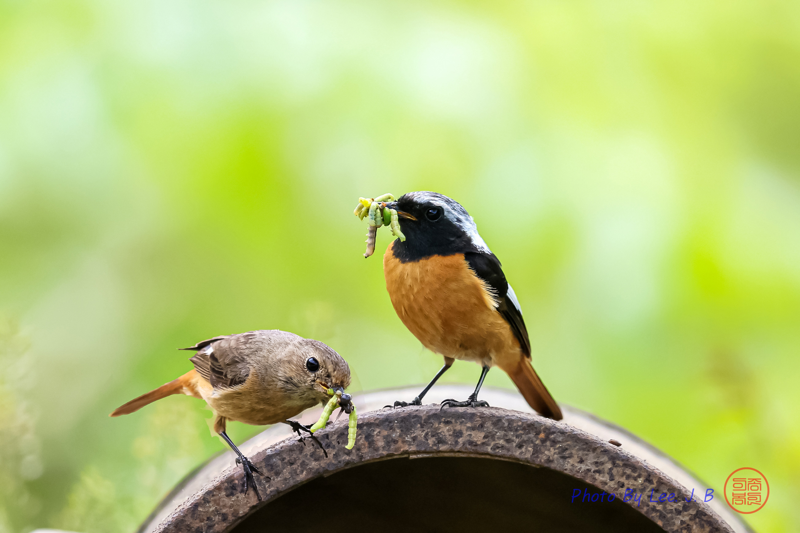 20240501-영천 금호 (34).jpg