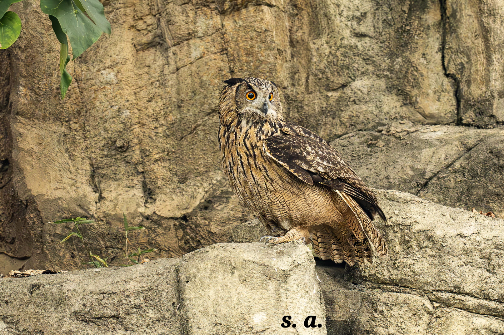 DSC_0334-향상됨-NR 복사[크기변환].jpg