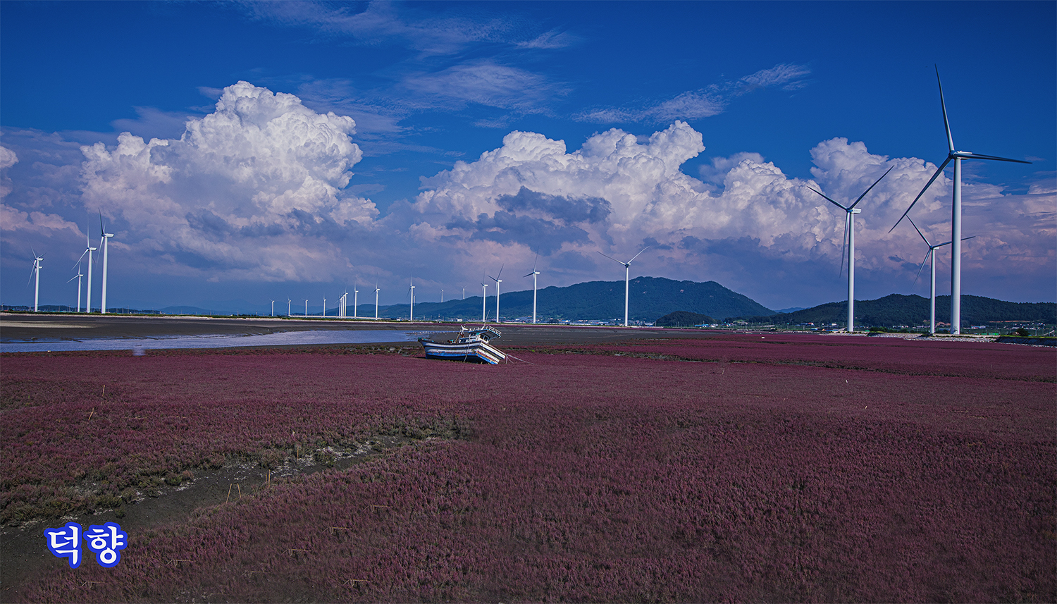 _SJU1688 복사150.jpg