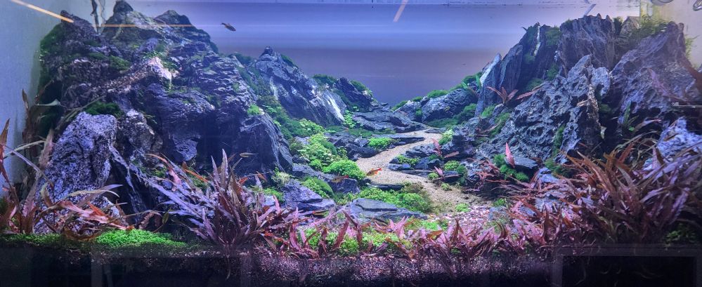 트라이튼수족관의 풍경화3...jpg