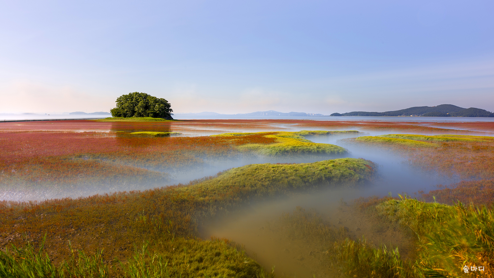 갯골-1-1-0.jpg