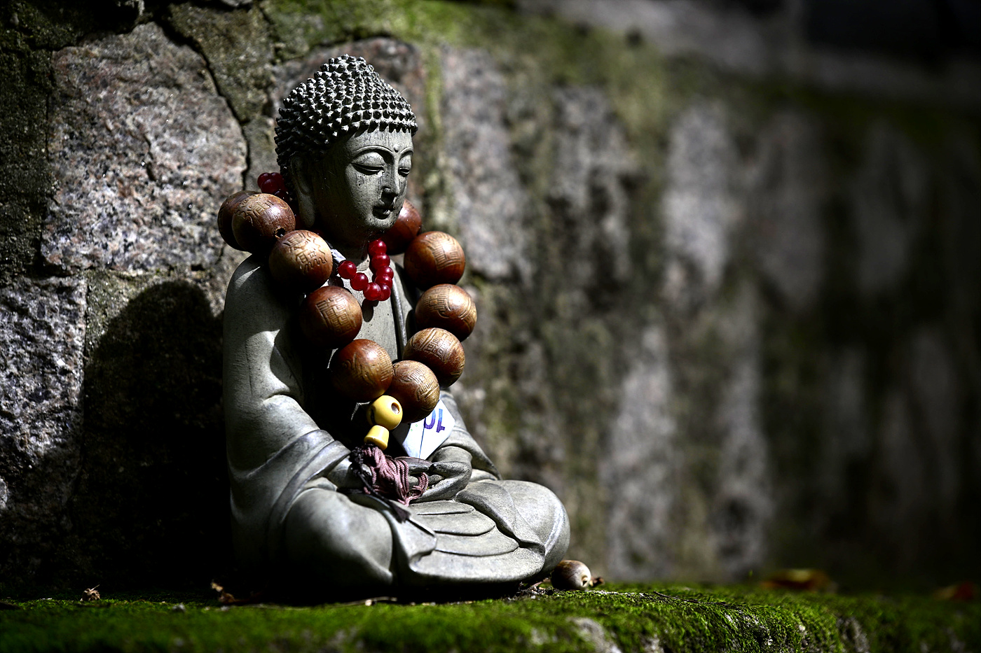 20250923 길상사 꽃무릇-Z6_3_0219_v-pw.jpg