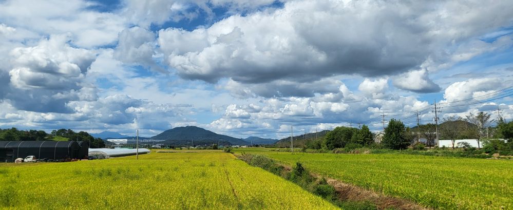 구름좋은날의 농촌들녁2...jpg