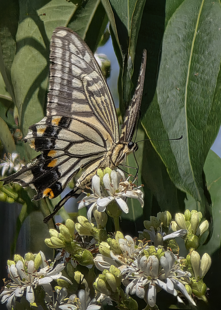 20250927_111558 -1000.jpg