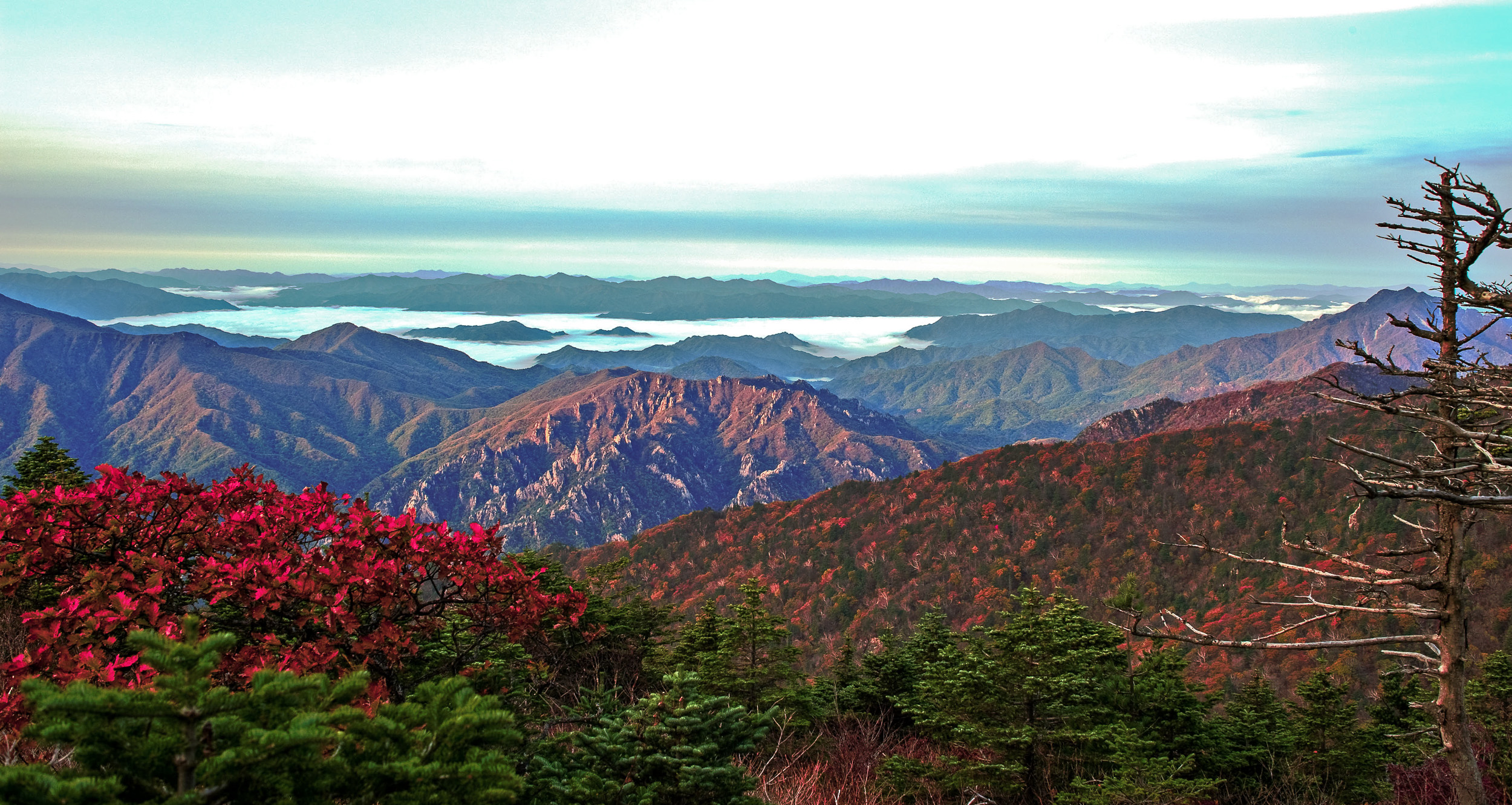 OK4_1469 사본-2.jpg