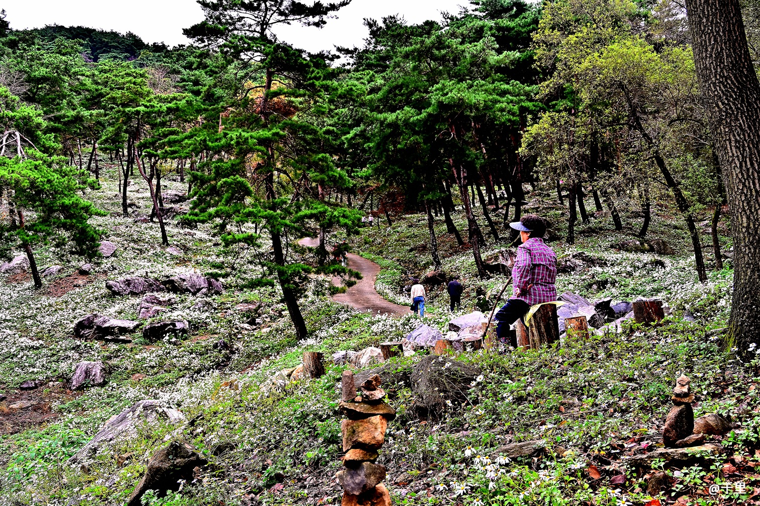 공주 DZF_0310_035nx.jpg