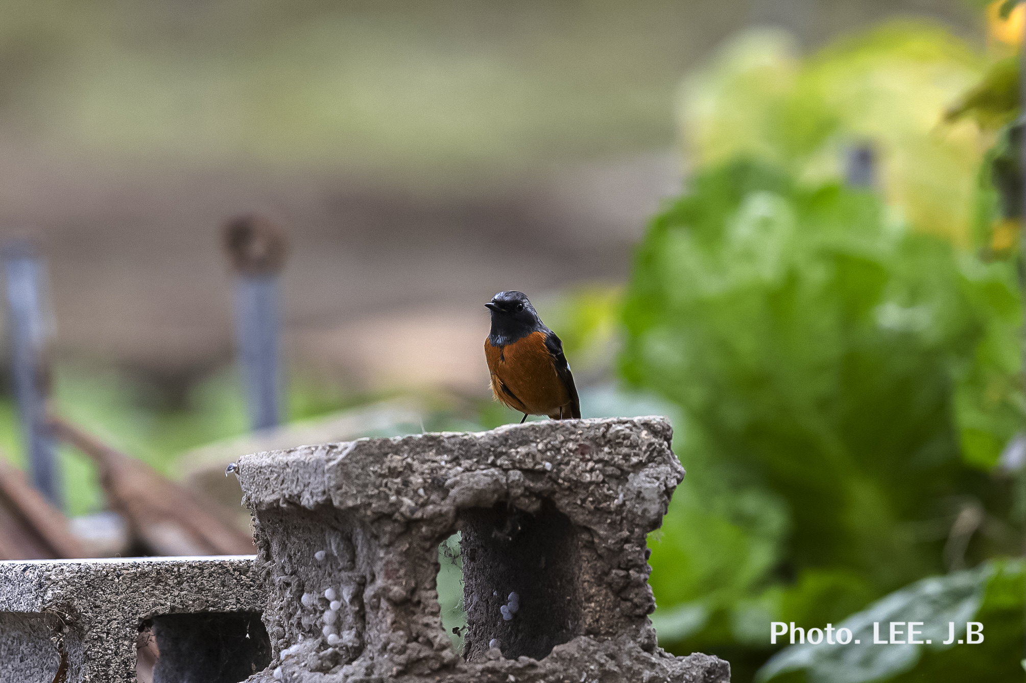 20251020-주전동 (1).JPG