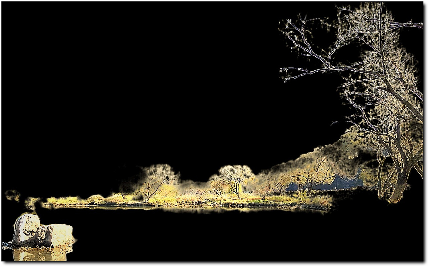 남강 晩秋_20231128_113939774.jpg