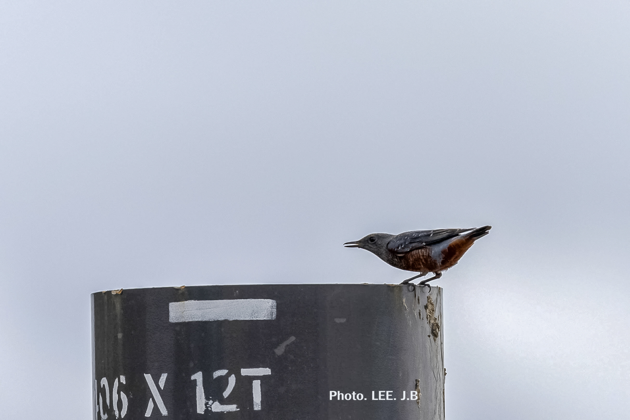 20251010-울산대공원 (2).JPG