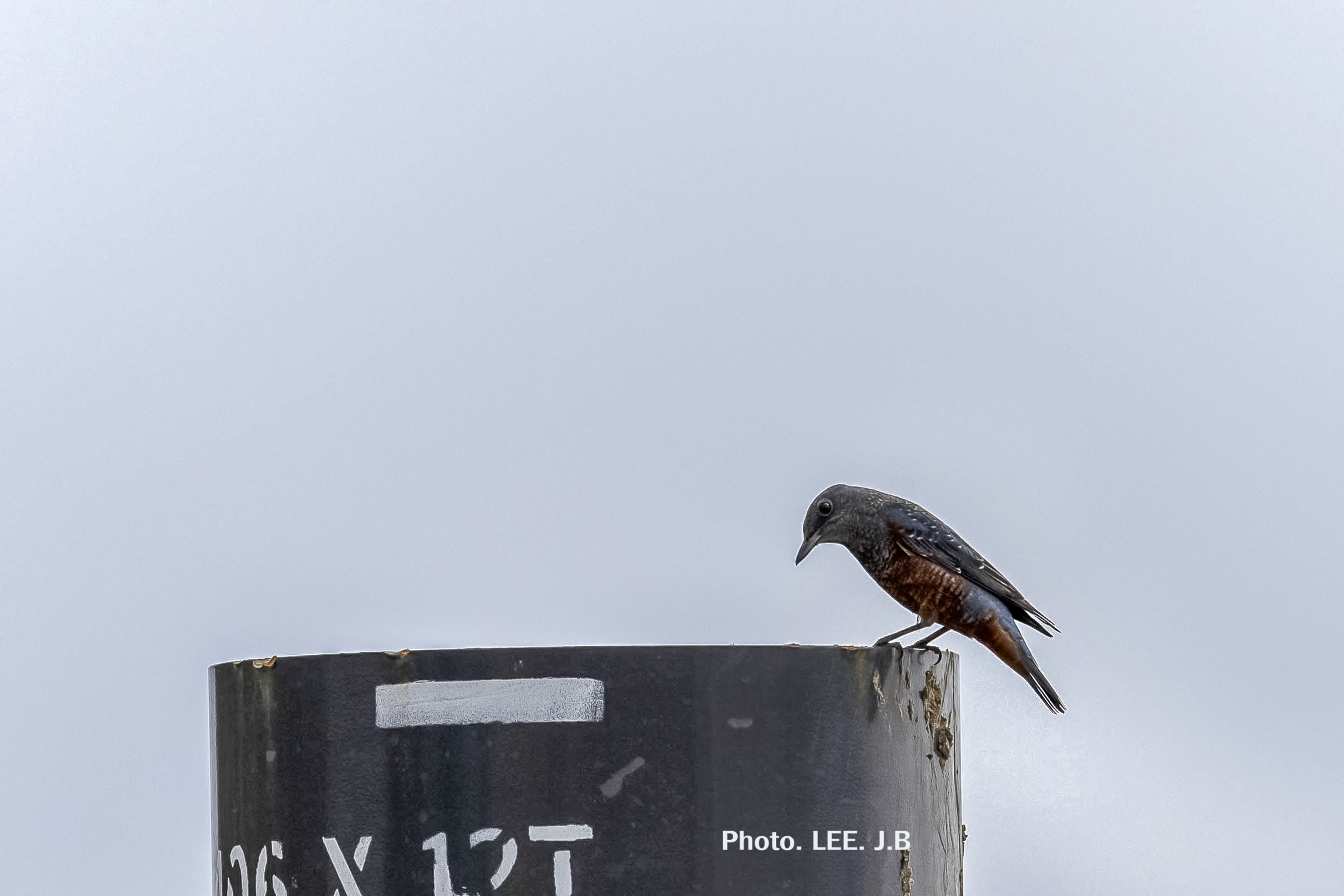 20251010-울산대공원 (4).JPG