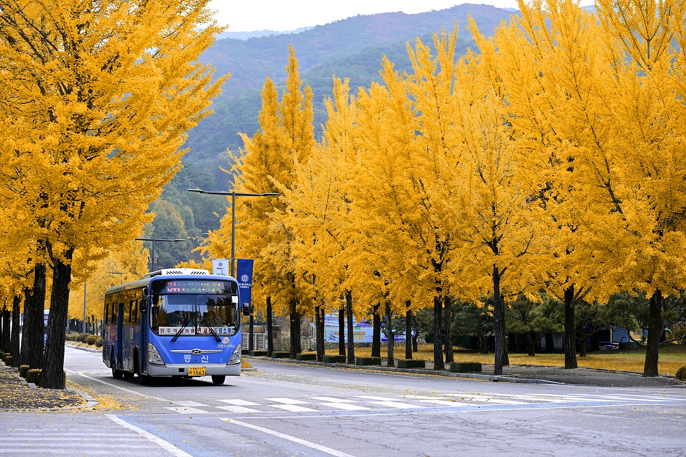 20251102 원주연세대_0838_v-pw(1).jpg