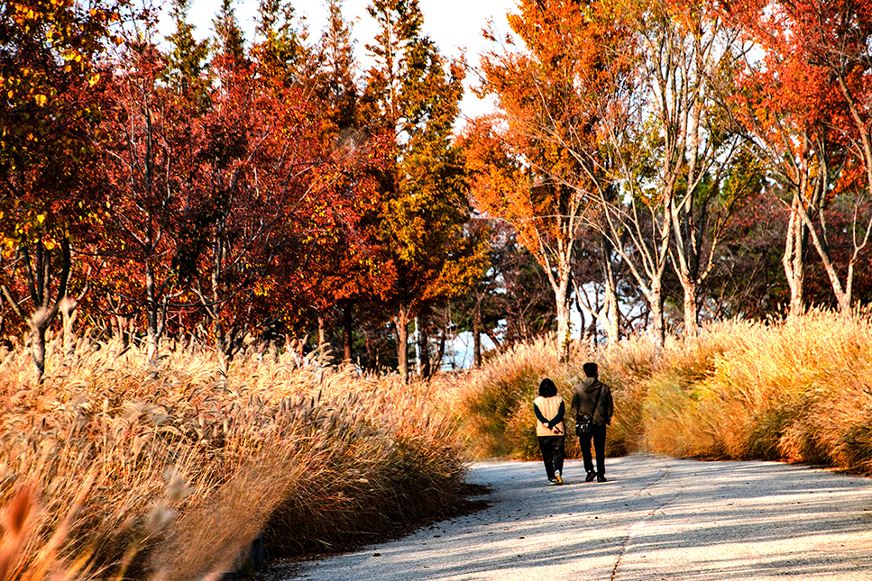그대와 함께 걷는 가을 길.jpg