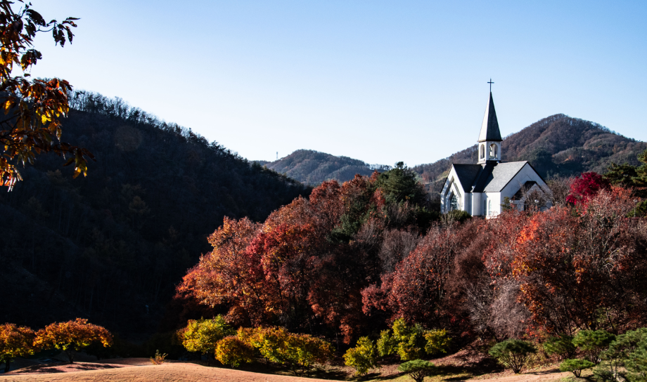 가을빛에 물든.png