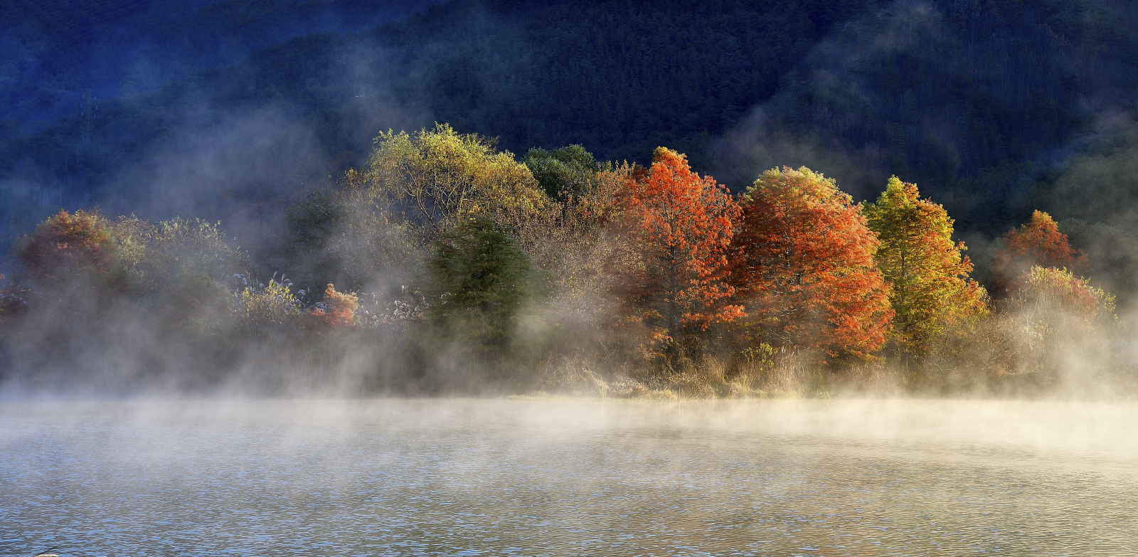 DSC_3877_02 - 복사본_01.JPG