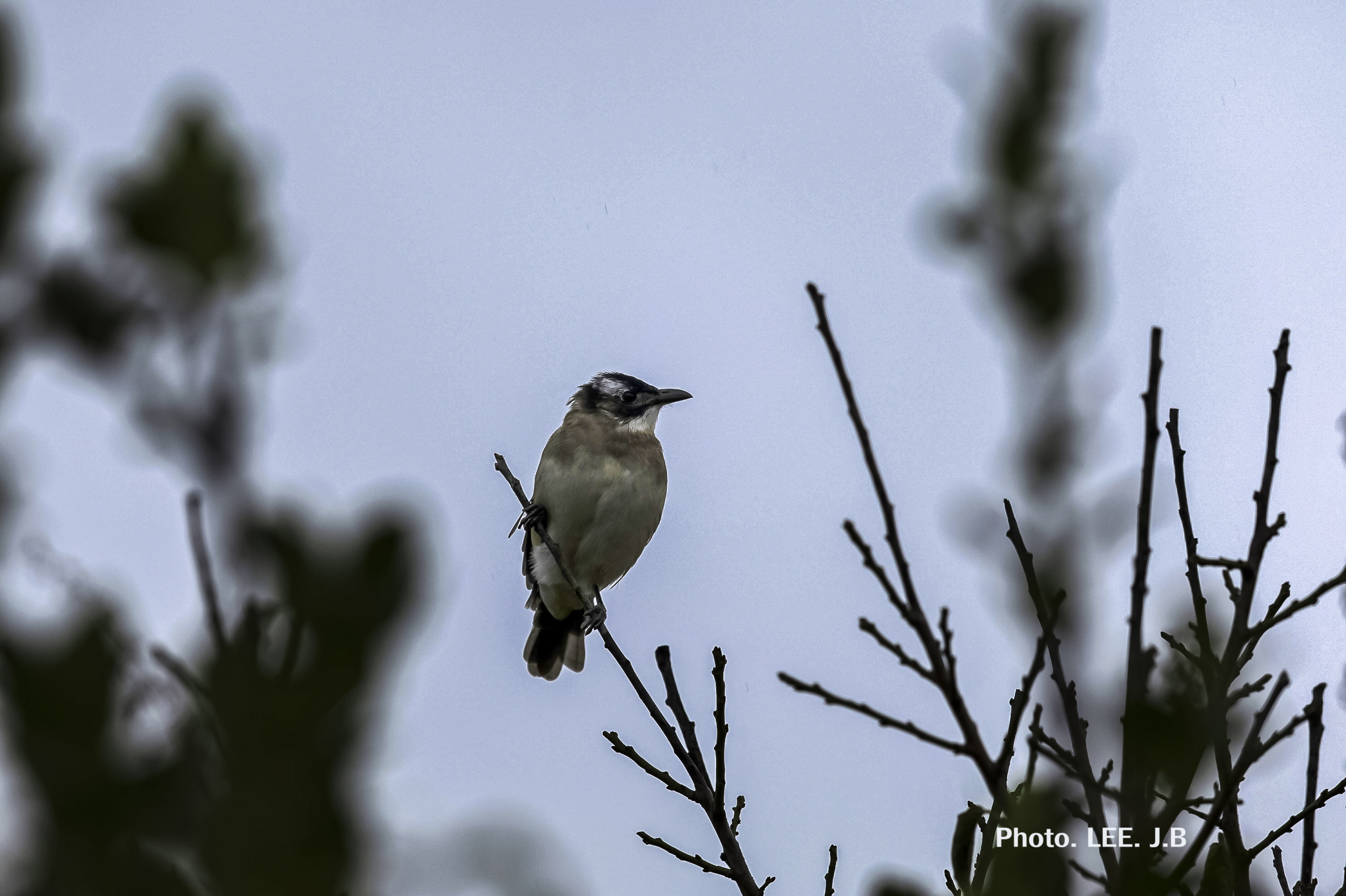 20251020-주전동 (7).JPG