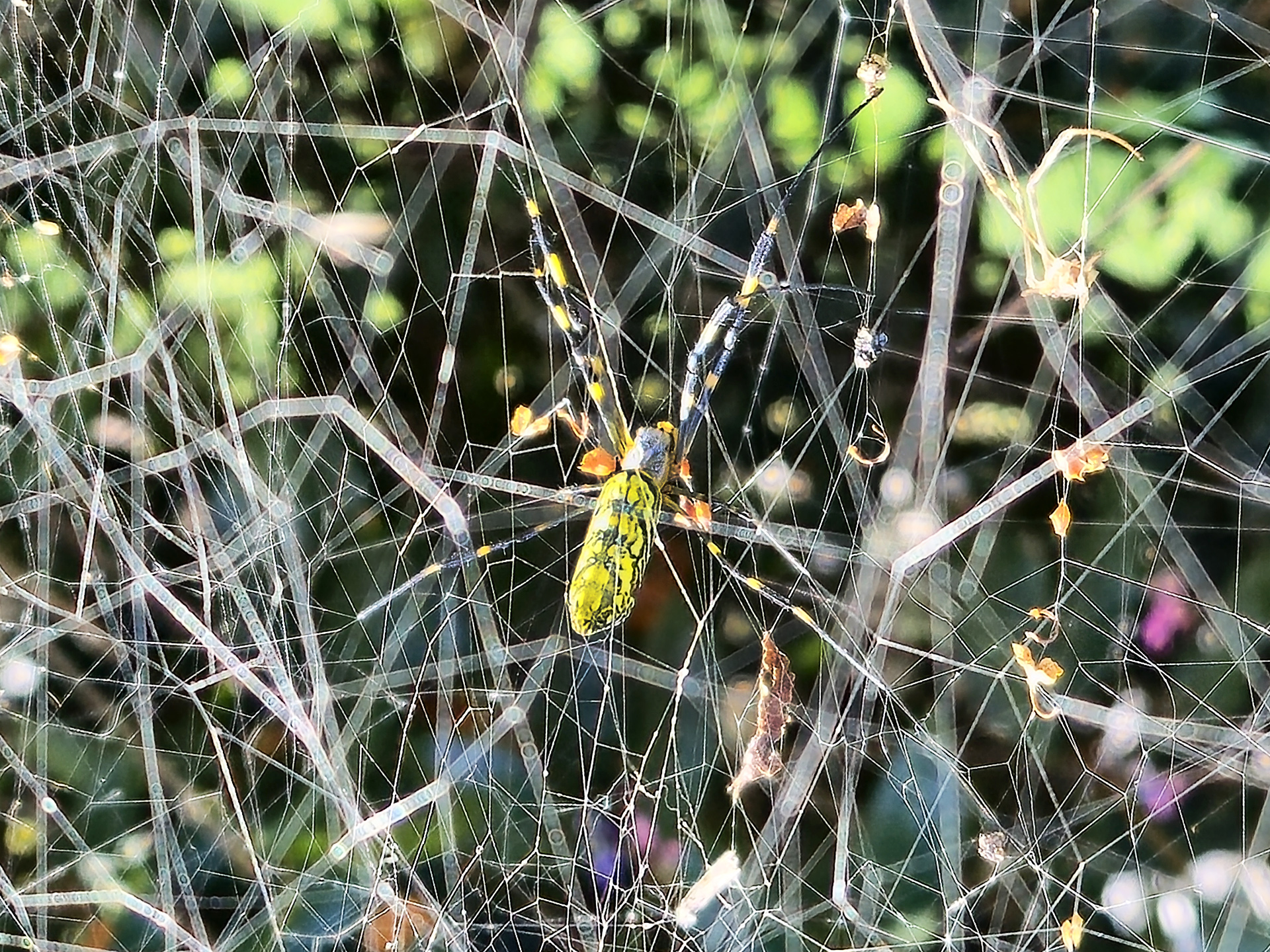 20251101-1002 -1.jpg