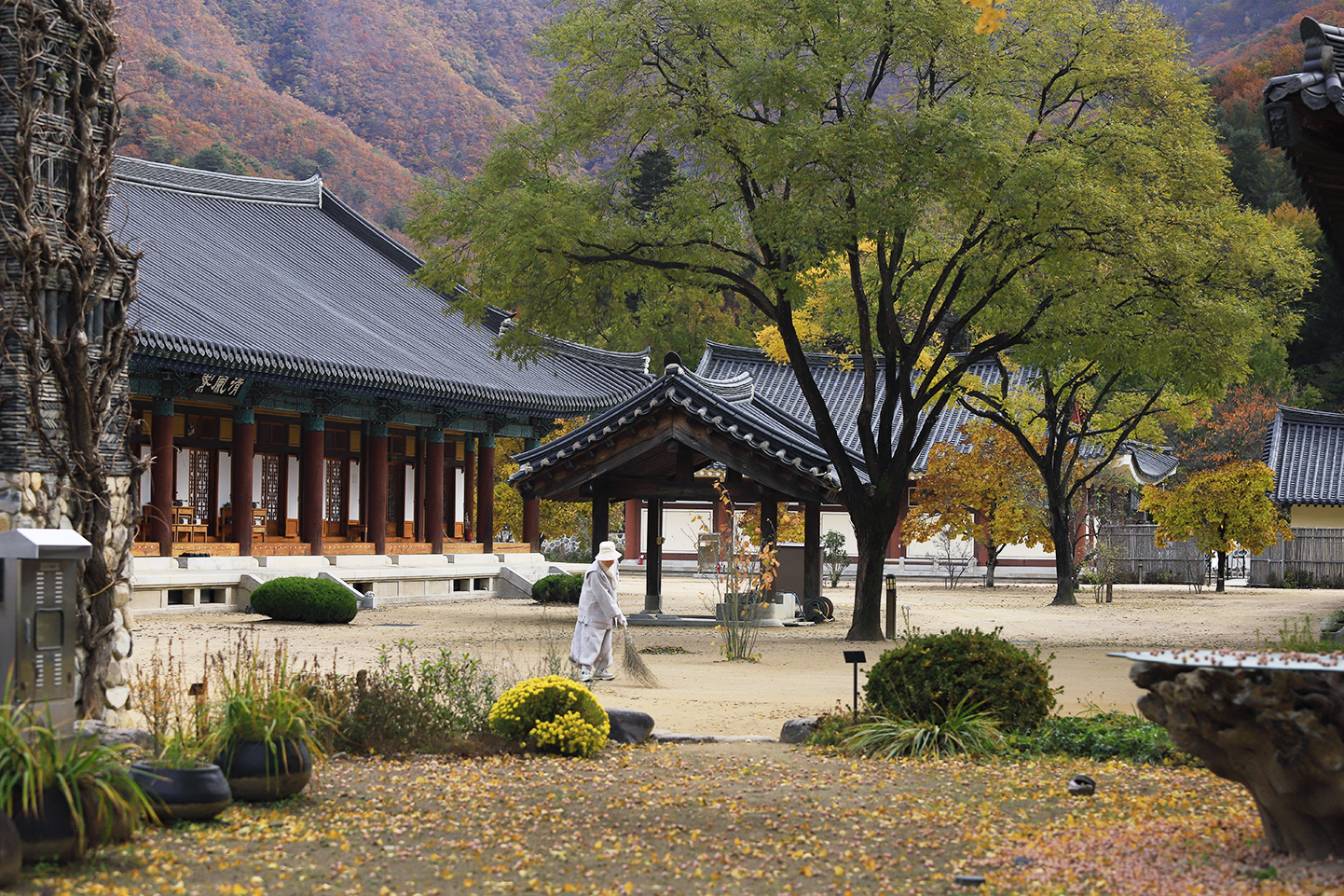 _MG_0587 복사 - 복사본.jpg