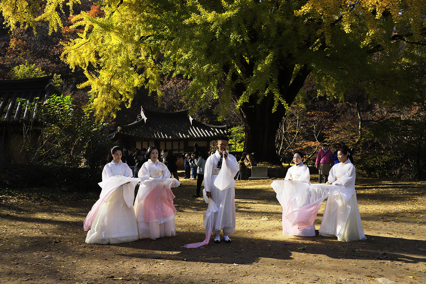 _MG_0973 복사 - 복사본.jpg