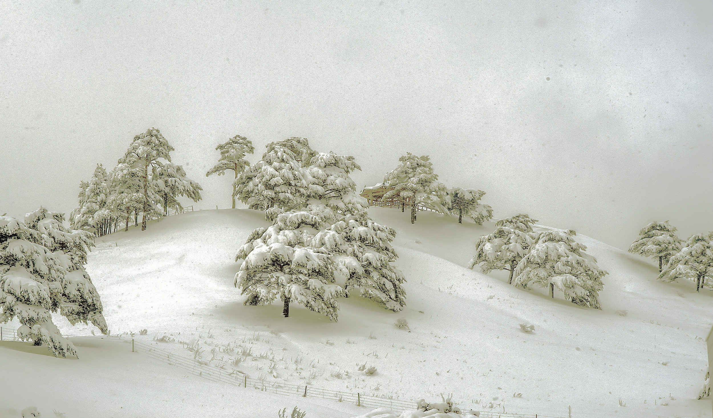 _DSC4271-1 복사.jpg