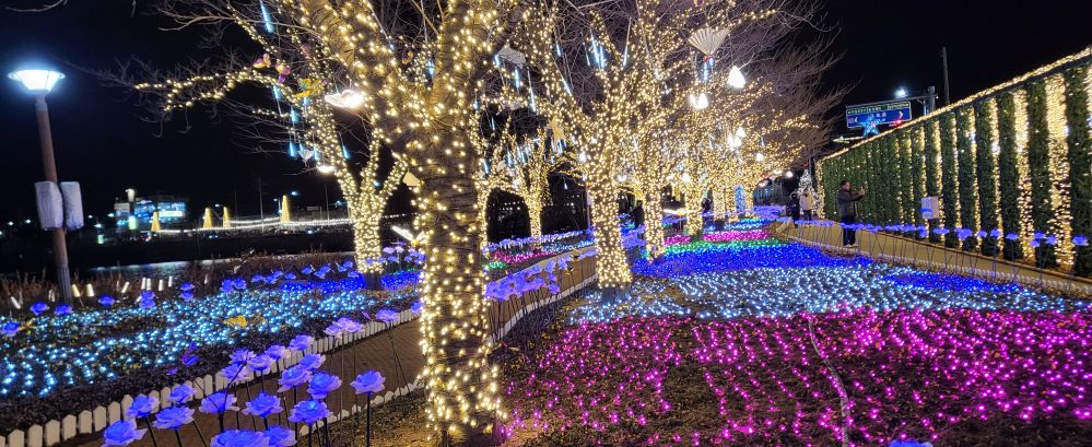 송해공원의 야경1...jpg