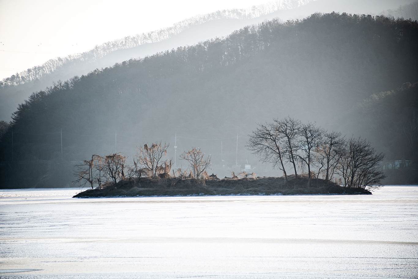 두물머리 아침.jpg