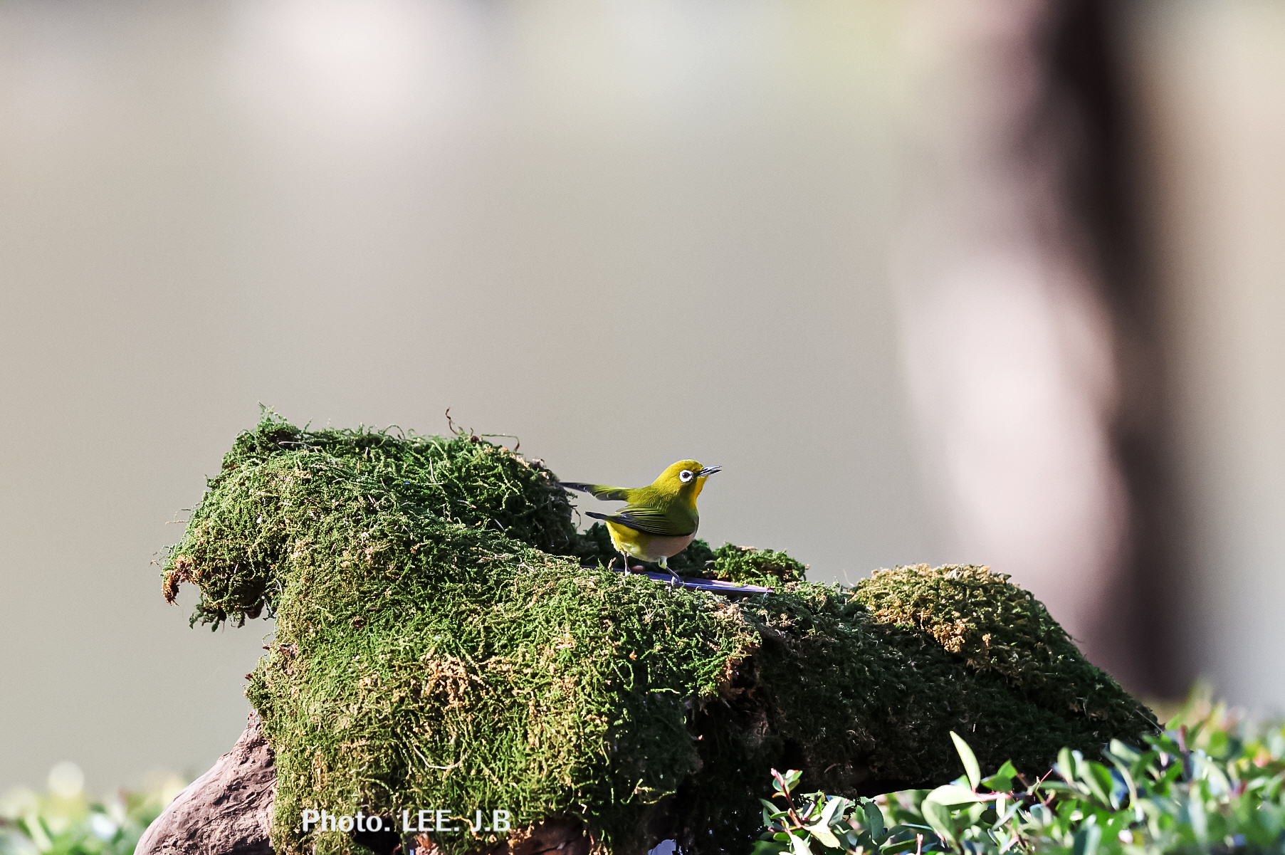 20251206-문수구장 (5).JPG