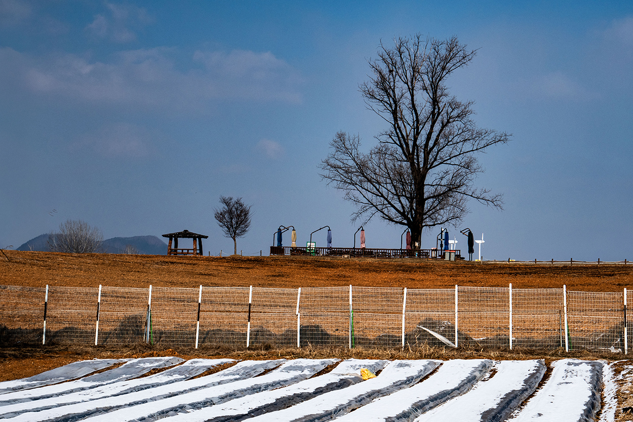 안성목장 갈.jpg