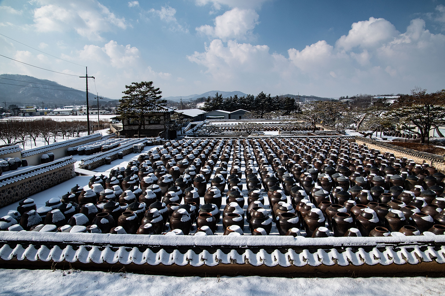 서일농원 장독대.jpg