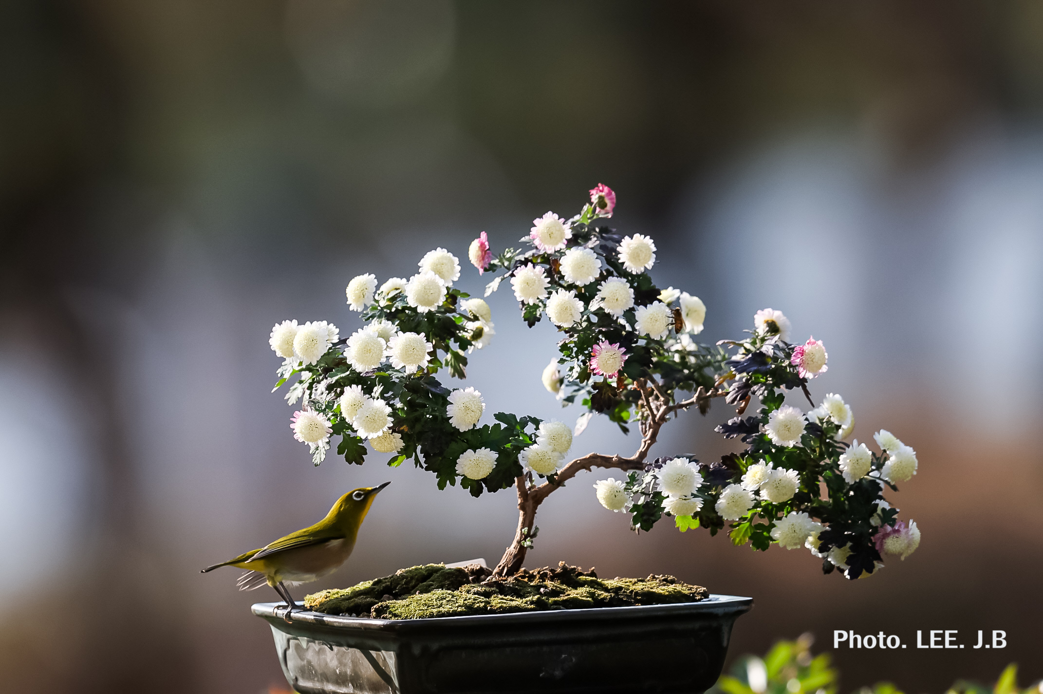 20251207-수수구장1 (12).JPG