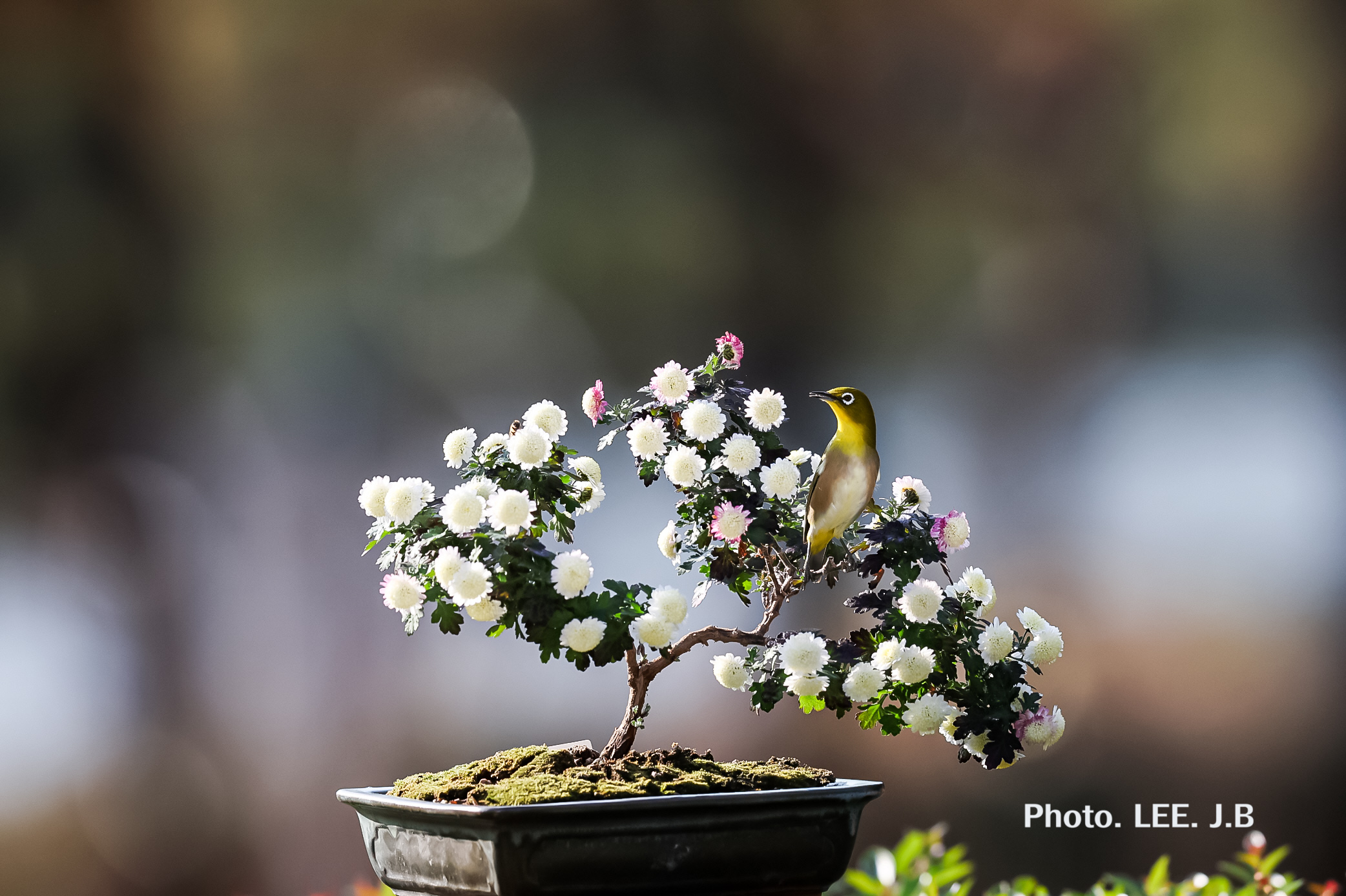 20251207-수수구장1 (6).JPG