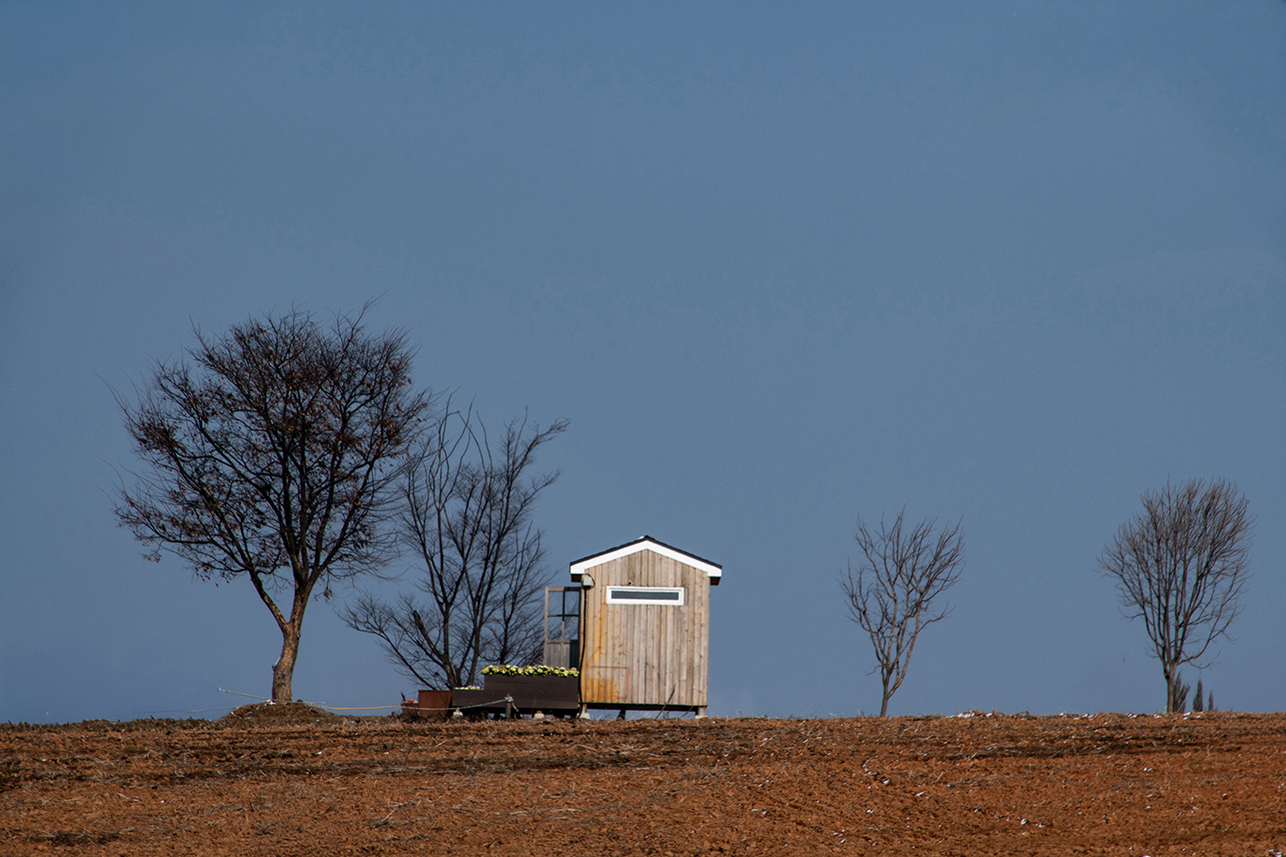안성목장 길.jpg