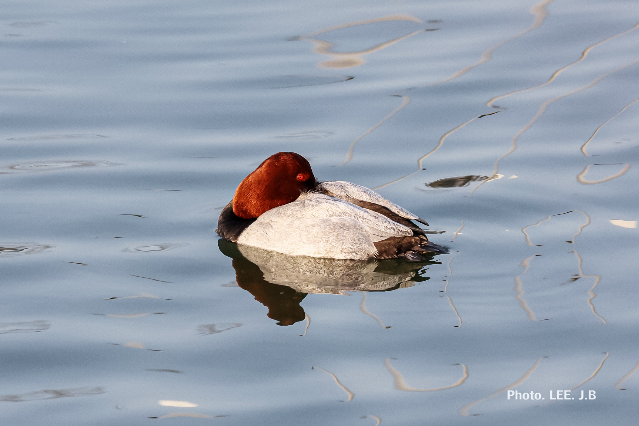 20260117-노을다방1 (4).JPG