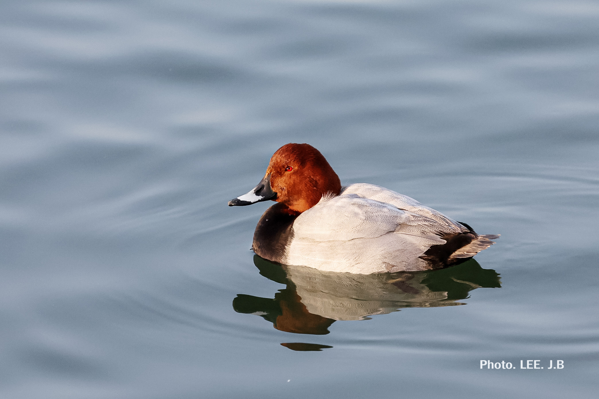 20260117-노을다방1 (1).JPG