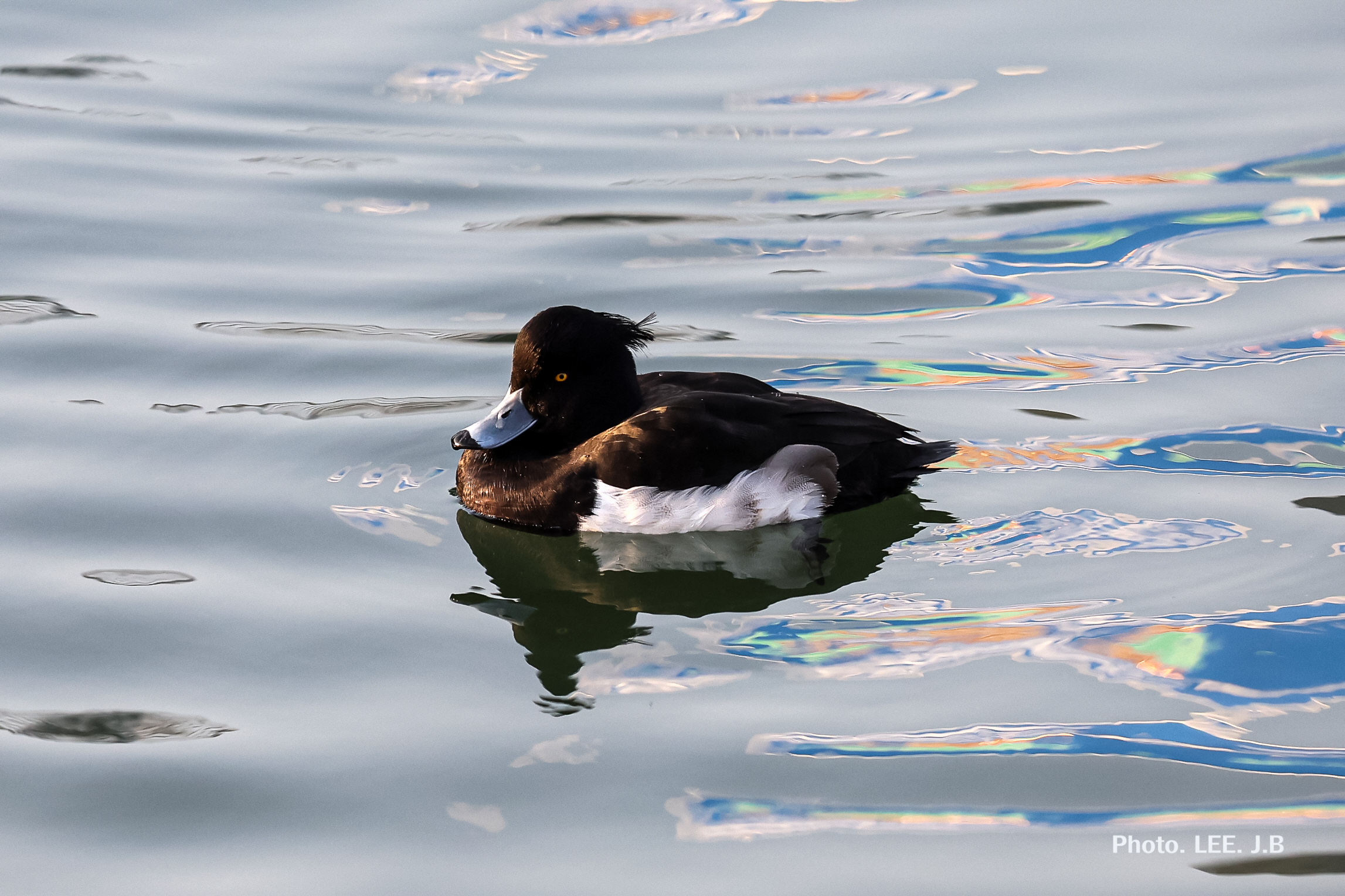 20260117-노을다방1 (54).JPG