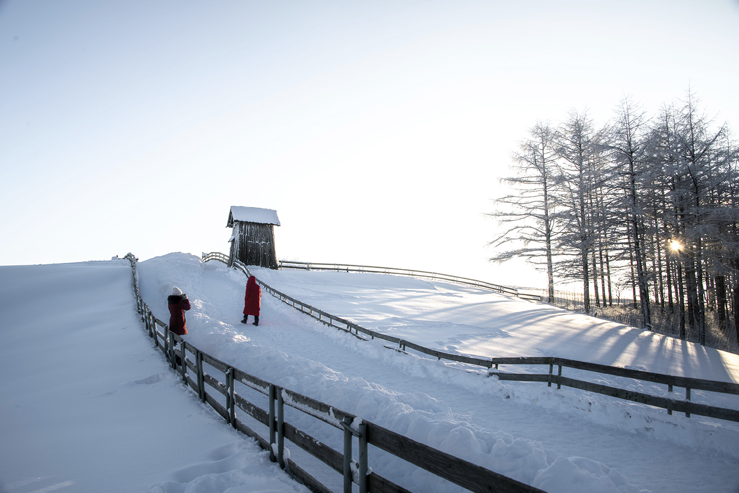 대관령 양떼목장.JPG