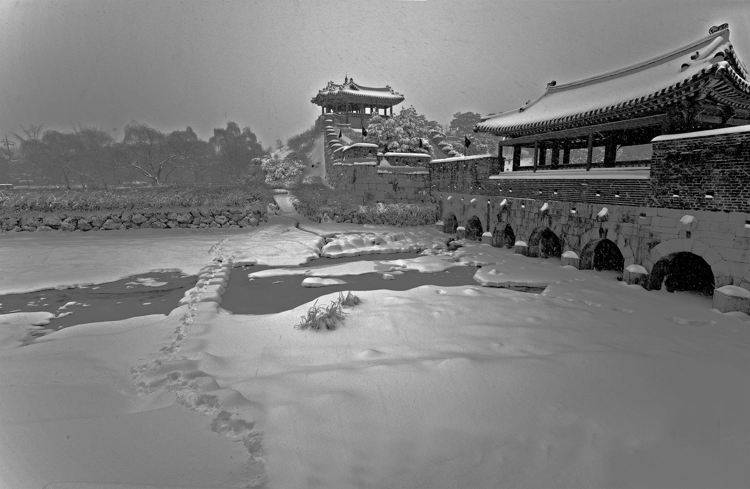 _DSC3695 복사-1.jpg