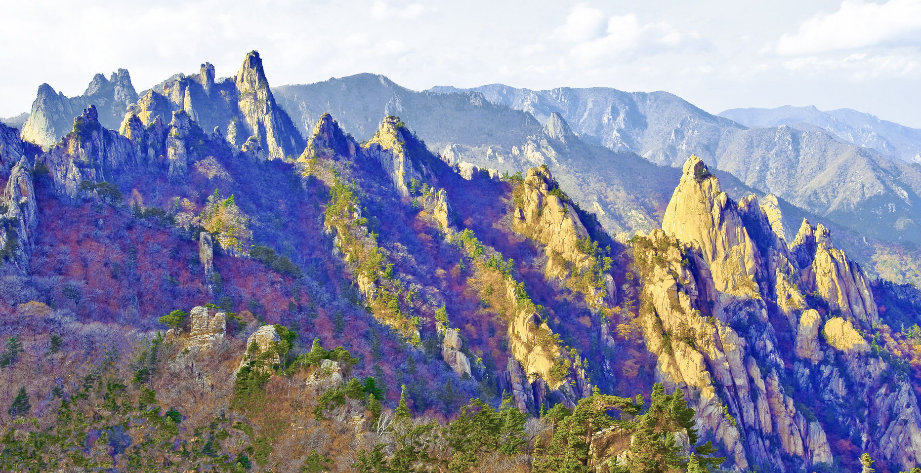 OK4_2052 사본 사본-1.jpg