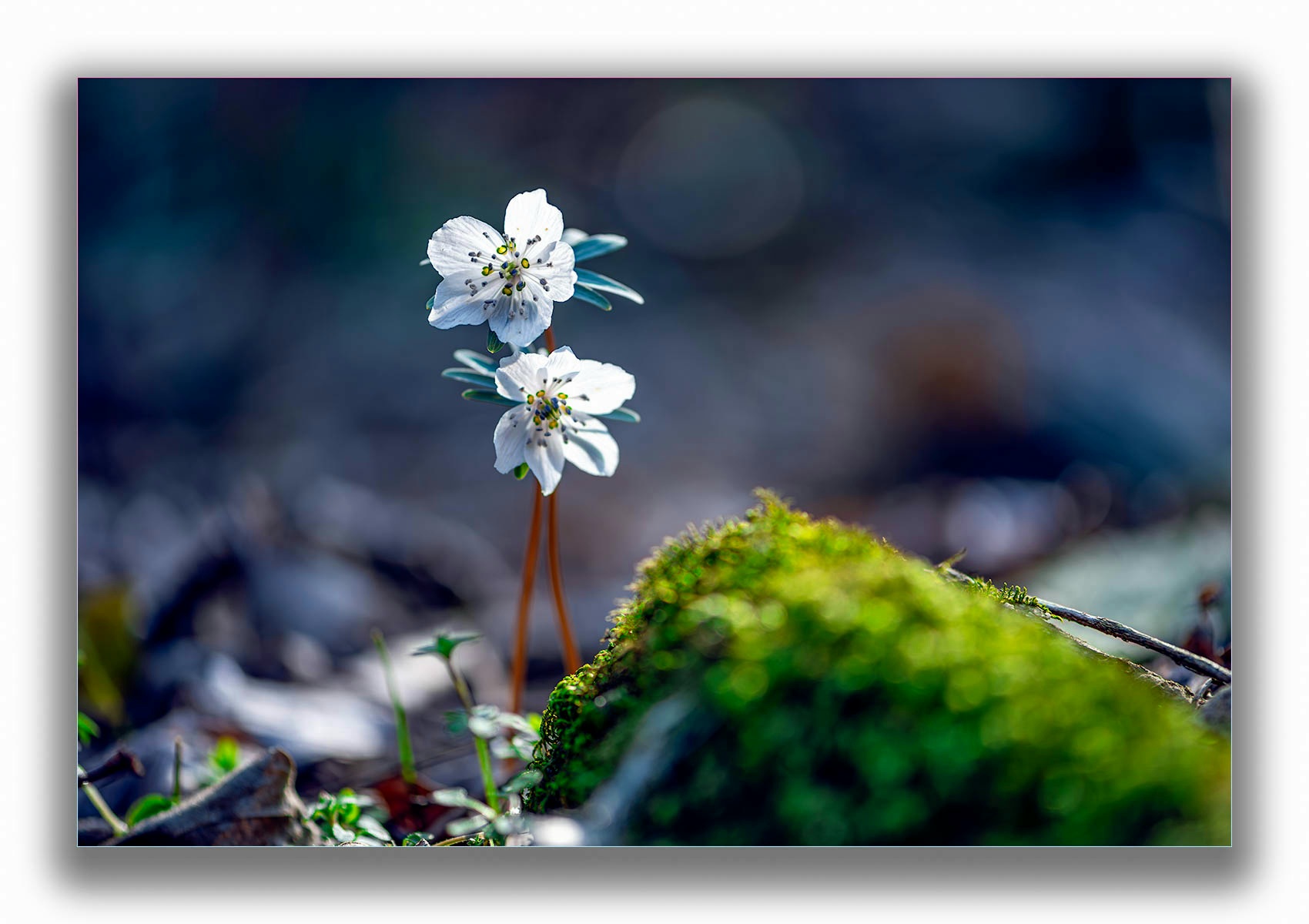 DSC_0856-향상됨-노이즈 감소-편집.jpg