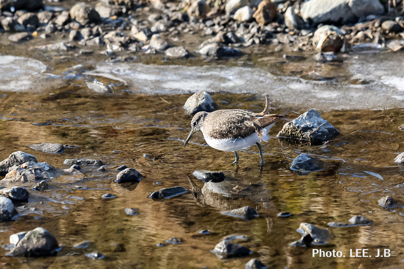 20260124-기장하천 (1).JPG