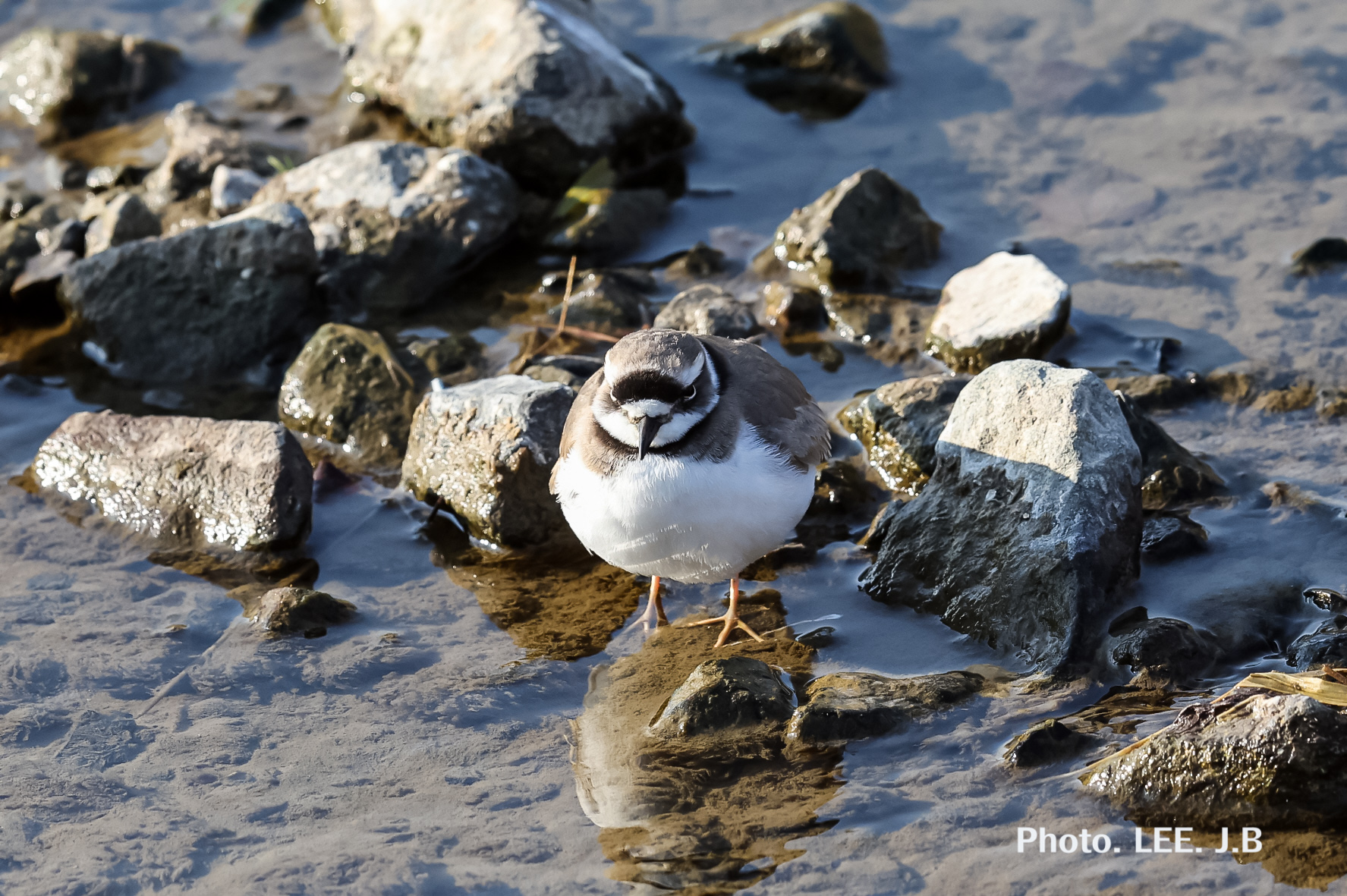 20260124-기장하천 (4).JPG