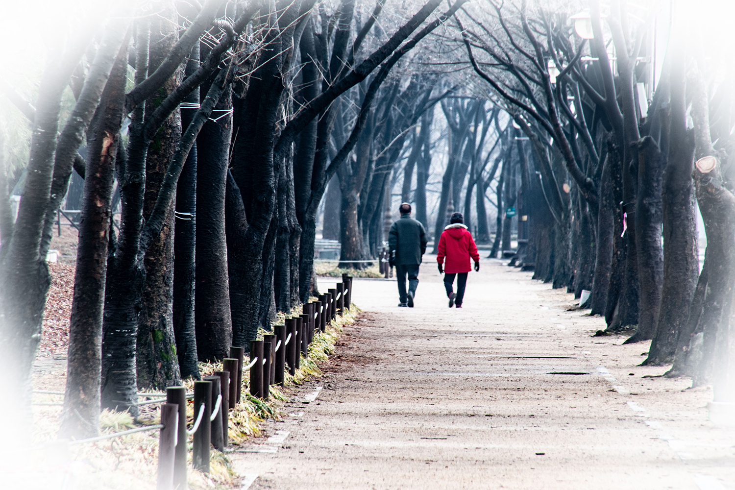 부부의 긴 여정.jpg