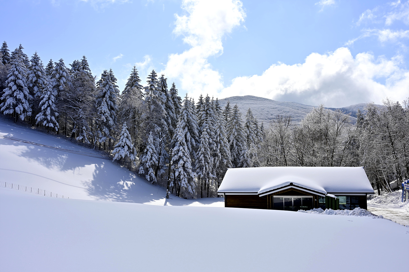 20260304 대관령양떼목장_Z6_3-0031_v-pw.jpg